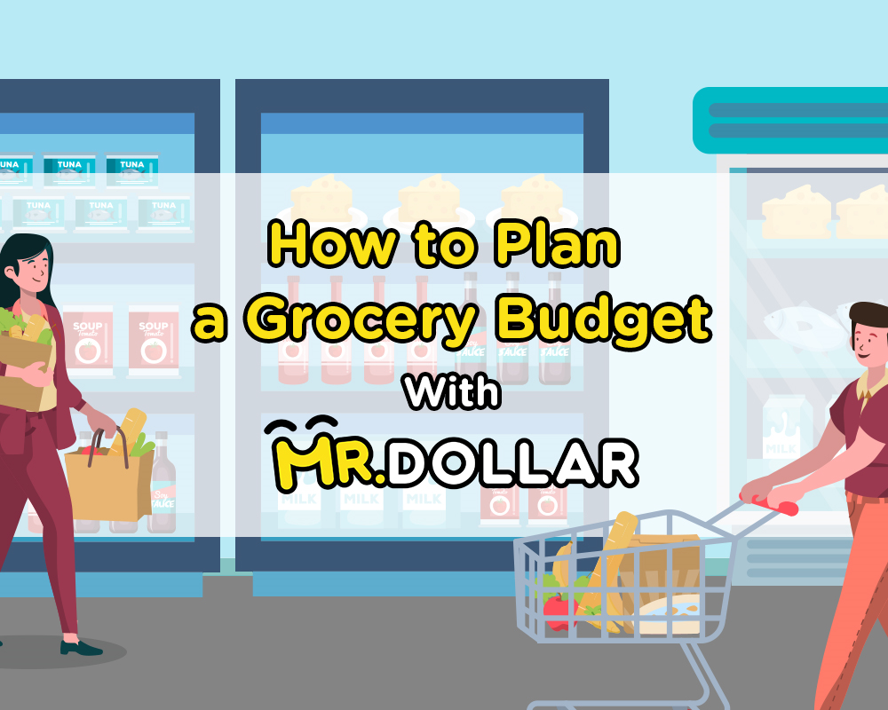 How to Plan a Grocery Budget with MR.DOLLAR
