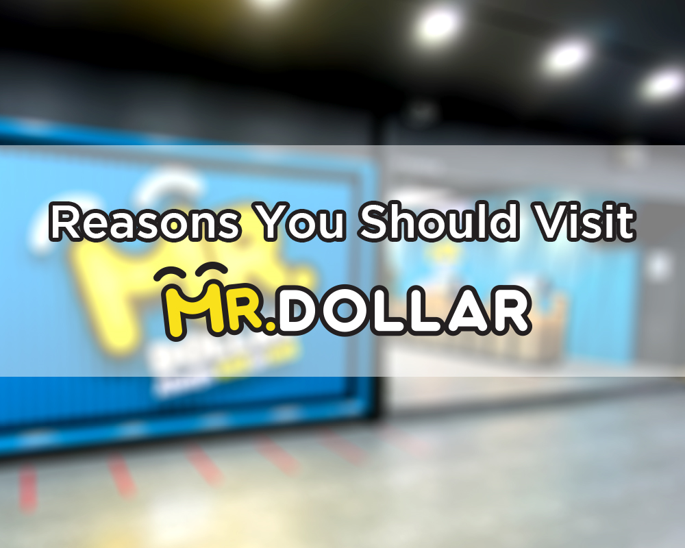 Reasons You Should Visit MR.DOLLAR